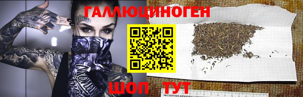 Псилоцибиновые грибы Psilocybine cubensis  Вход с VPN  Псилоцибиновые грибы мухоморы  Людиново 