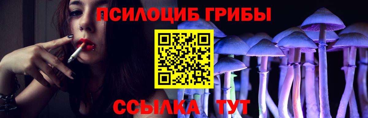 Бошки Шишки Людиново